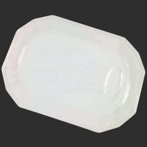 Huge Pfaltzgraff Platter Fish Big Dinners XL Serving Dish Providence White Tray